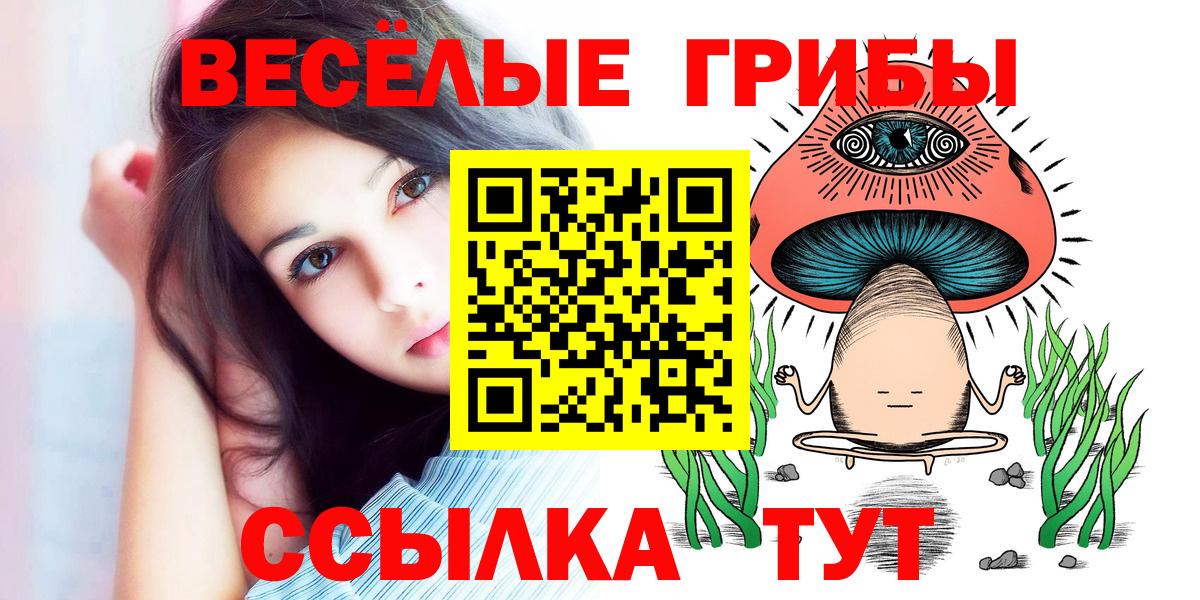 Галлюциногенные грибы Psilocybe  Вход с VPN  Новодвинск  Псилоцибиновые грибы Psilocybe 